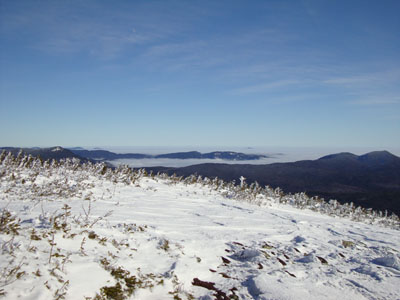 The summit of Mt. Guyot